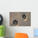 Dog Paw Prints in the Beach Sand Wall Mural
