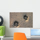 Dog Paw Prints in the Beach Sand Wall Mural
