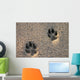 Dog Paw Prints in the Beach Sand Wall Mural