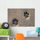 Dog Paw Prints in the Beach Sand Wall Mural