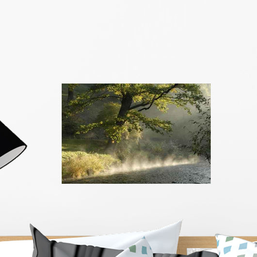 Morgen Der Ilm Wall Decal
