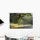 Morgen Der Ilm Wall Decal