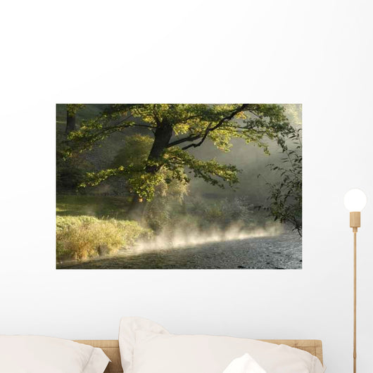 Morgen Der Ilm Wall Decal