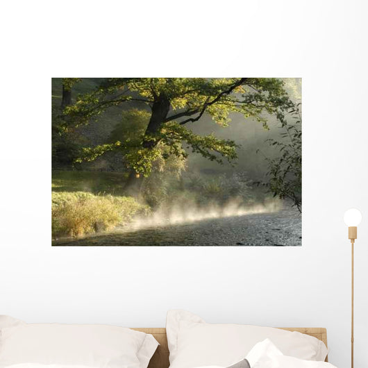 Morgen Der Ilm Wall Decal