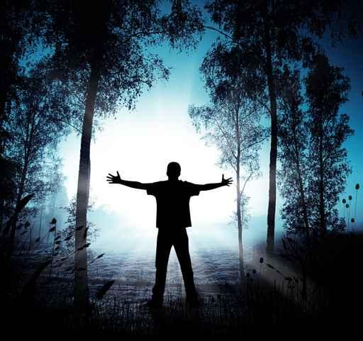 Mystic Forest and Silhouette Wall Decal Design 4