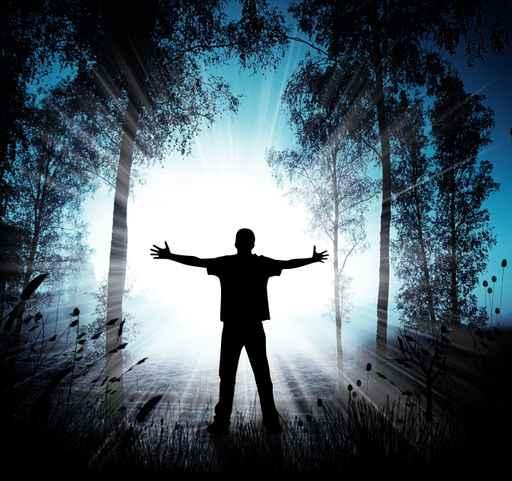 Mystic Forest and Silhouette Wall Decal Design 2