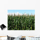 Corn Wall Mural