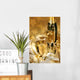 golden champagne sparkle Wall Mural