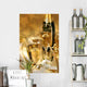golden champagne sparkle Wall Mural