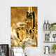 golden champagne sparkle Wall Mural