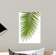 Palme Fond Blanc