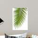 Palme Fond Blanc