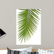 Palme Fond Blanc