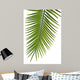 Palme Fond Blanc