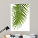 Palme Fond Blanc