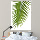 Palme Fond Blanc