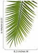 Palme Fond Blanc