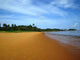 Plage Guyanaise Wall Decal