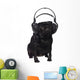 Black Pug Listening to Wall Decal Design 2