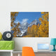 Maroon Bells and Golden Aspens Wall Mural