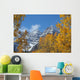Maroon Bells and Golden Aspens Wall Mural