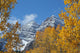 Maroon Bells and Golden Aspens Wall Mural