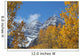 Maroon Bells and Golden Aspens Wall Mural