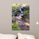 Autumn Water Stream Wall Mural
