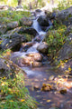 Autumn Water Stream Wall Mural