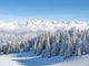 Winter Alps Wall Decal