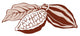 Cacao beans Wall Mural