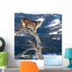 Mountain Lion od Dead Tree Snag Wall Mural