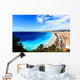 aerial view of beach in Nice Wall Mural