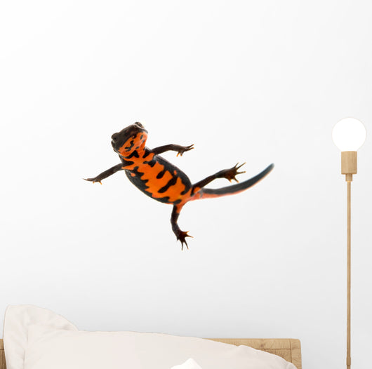 Swimming Fire Bellied Newt Wall Decal