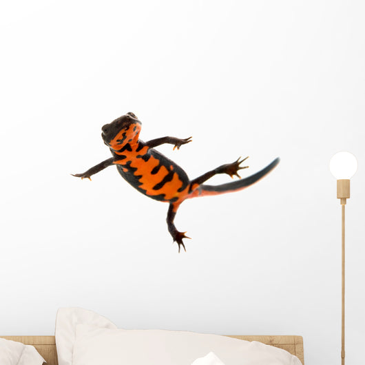 Swimming Fire Bellied Newt Wall Decal
