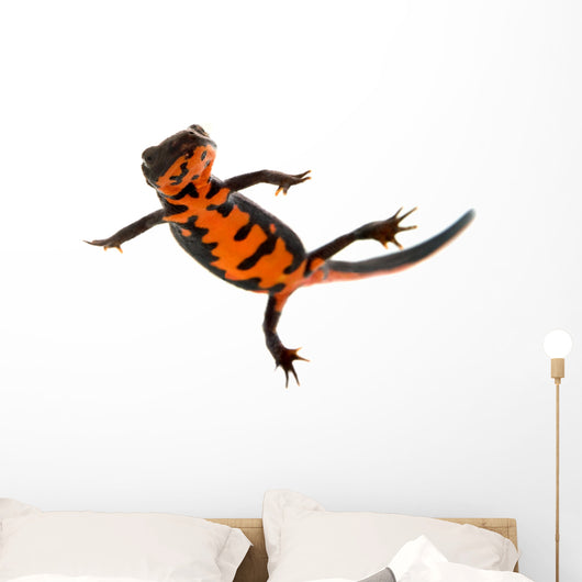 Swimming Fire Bellied Newt Wall Decal
