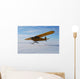 Airplane Wall Mural