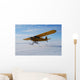 Airplane Wall Mural