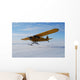 Airplane Wall Mural