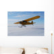 Airplane Wall Mural
