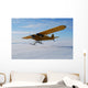 Airplane Wall Mural
