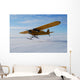 Airplane Wall Mural
