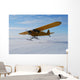 Airplane Wall Mural