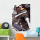 Hair Wall Mural