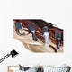 Hair Wall Mural