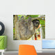 Three Toed Sloth Male Juvenile in Tree Wall Mural
