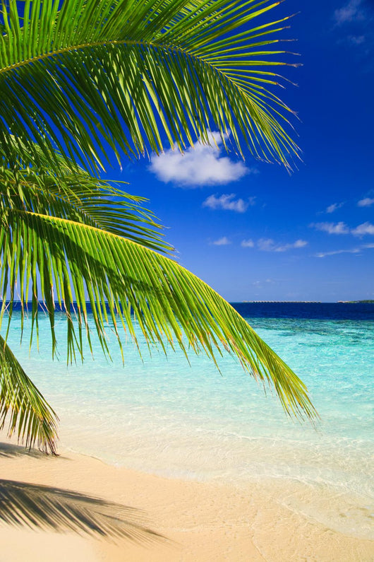Tropical Paradise at Maldives Wall Mural