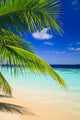 Tropical Paradise at Maldives Wall Mural