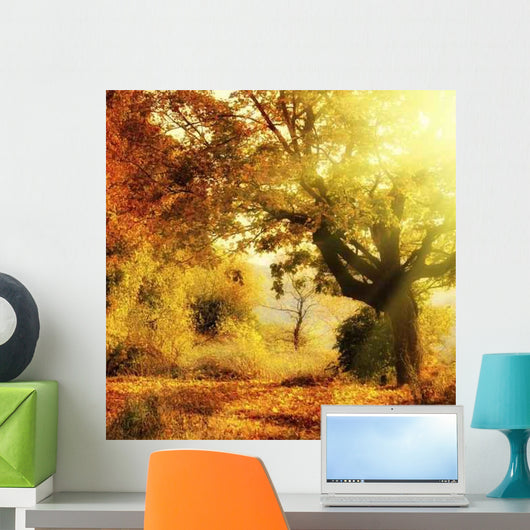 Autumn Forest with Sun Wall Decal Design 2