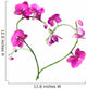 Heart from Pink Orchids